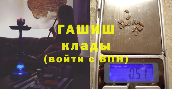 гидра Богданович
