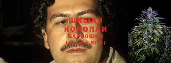 гидра Богданович