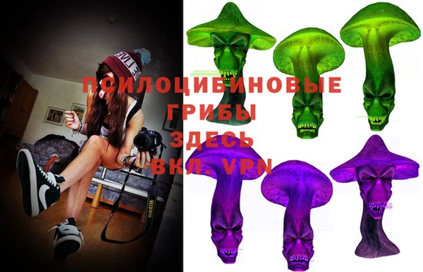 дживик Белоозёрский