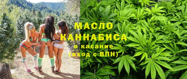 гидра Богданович