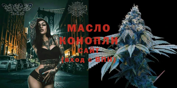 гидра Богданович