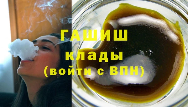 гидра Богданович