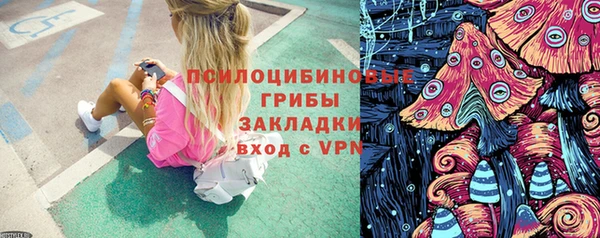 спиды Беломорск