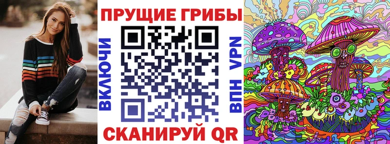 где купить   Уфа  Псилоцибиновые грибы Psilocybe 